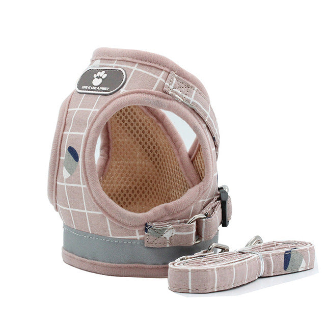 Striped Adjustable Dog Harness With Leash.