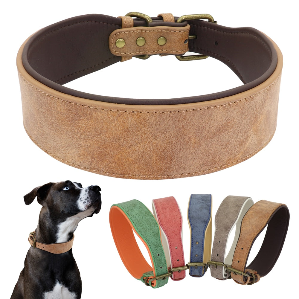 Wide Leather Dog Collar