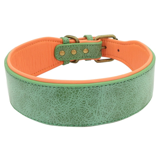 wide leather dog collars