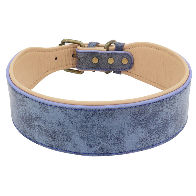 Wide Leather Dog Collar for Pitbull