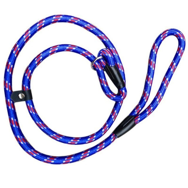 Portable Dog Collar Lead