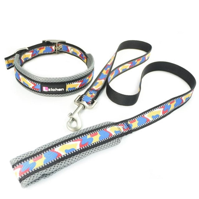 Zichen Pet Dog lead Adjustable and collar set