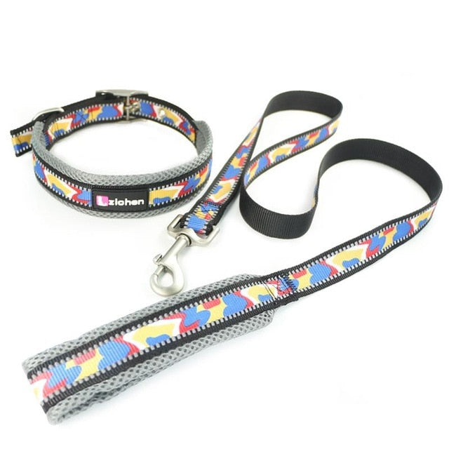 Zichen Reflective Dog Leash.