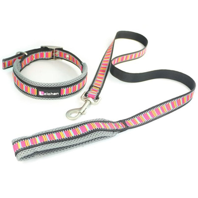 Zichen Reflective Dog Leash.