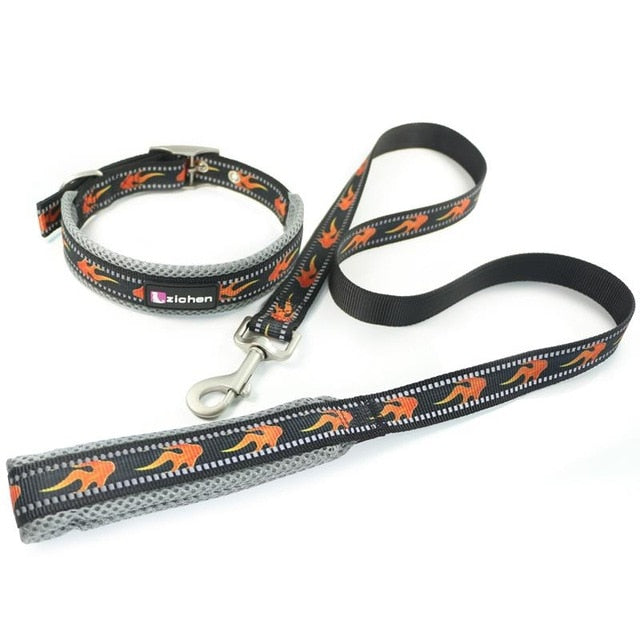 Zichen Pet Leash leash Adjustable and collar set