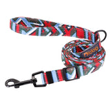 Vibrant Printed Dog Leash.