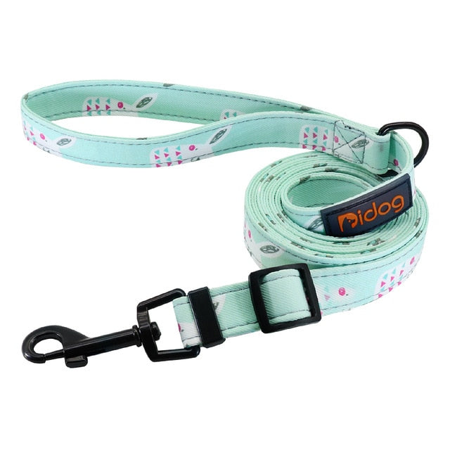 Vibrant Printed Dog Leash.