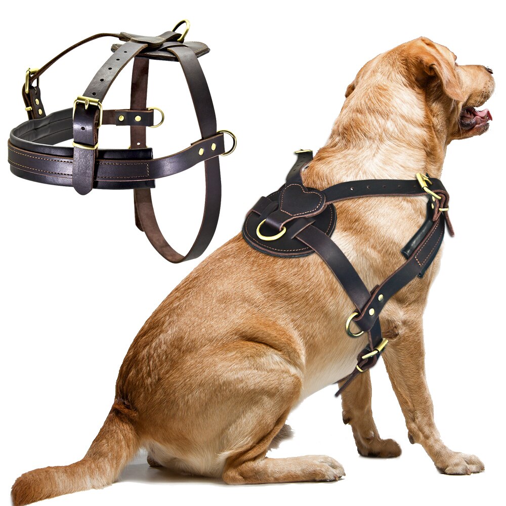 Soft Leather Big Dog Harness.