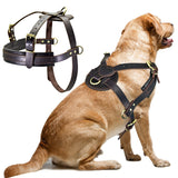 Soft Leather Big Dog Harness.