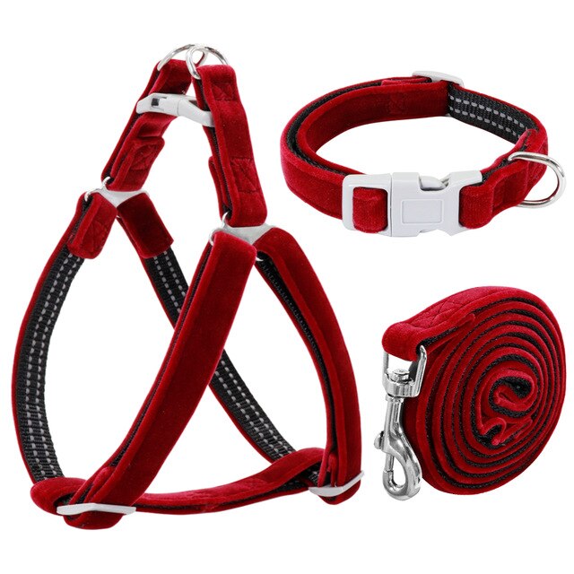 Adjustable set red collar harness 