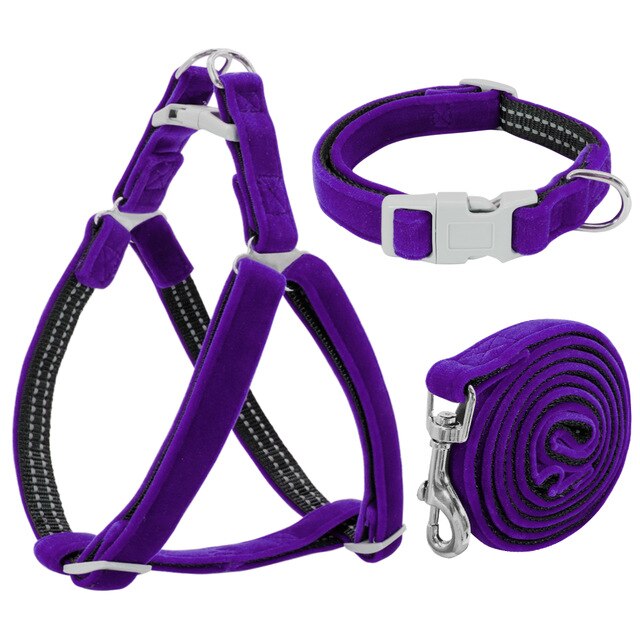 Dog Adjustable Collar Harness Set.