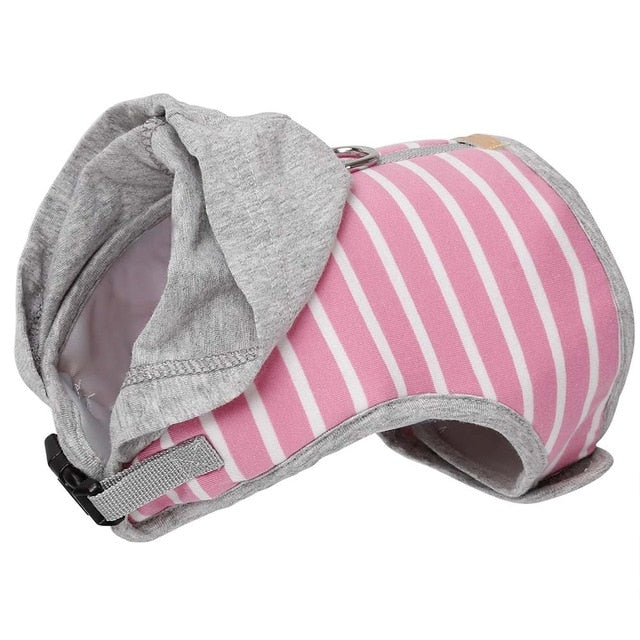 Bone Striped Harness Leash Set.