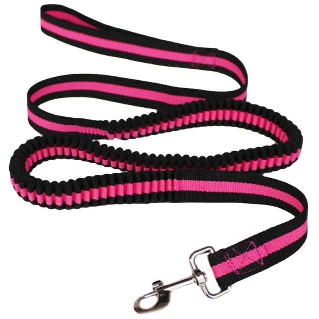Nylon Traction Dog Leash.