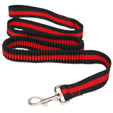 Nylon Traction Dog Leash.