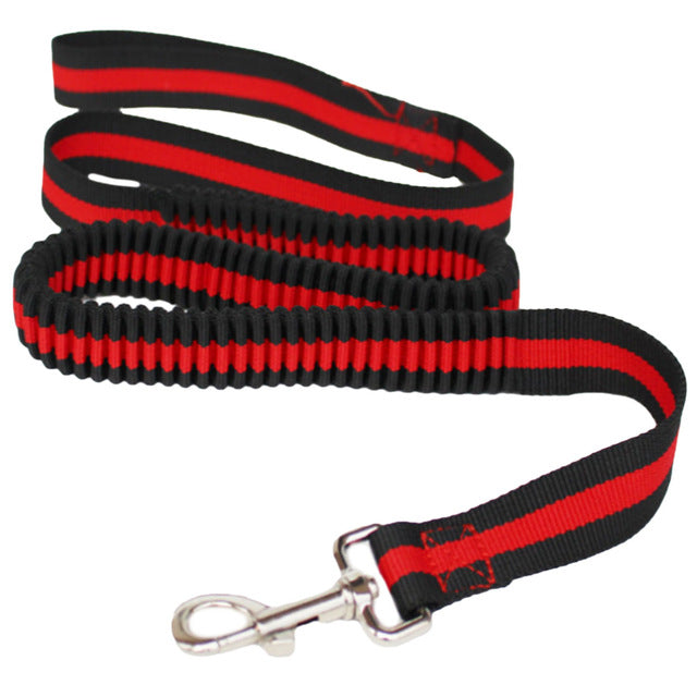 Nylon Traction Dog Leash.