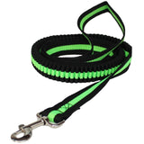Nylon Traction Dog Leash.