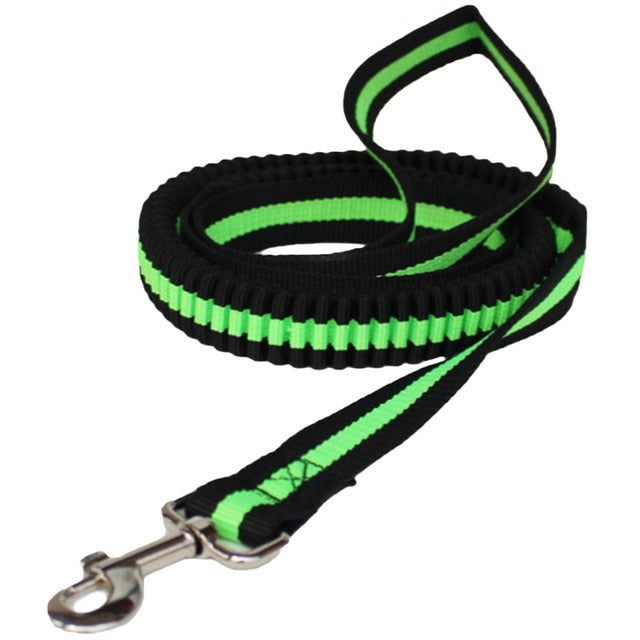 Nylon Traction Dog Leash.