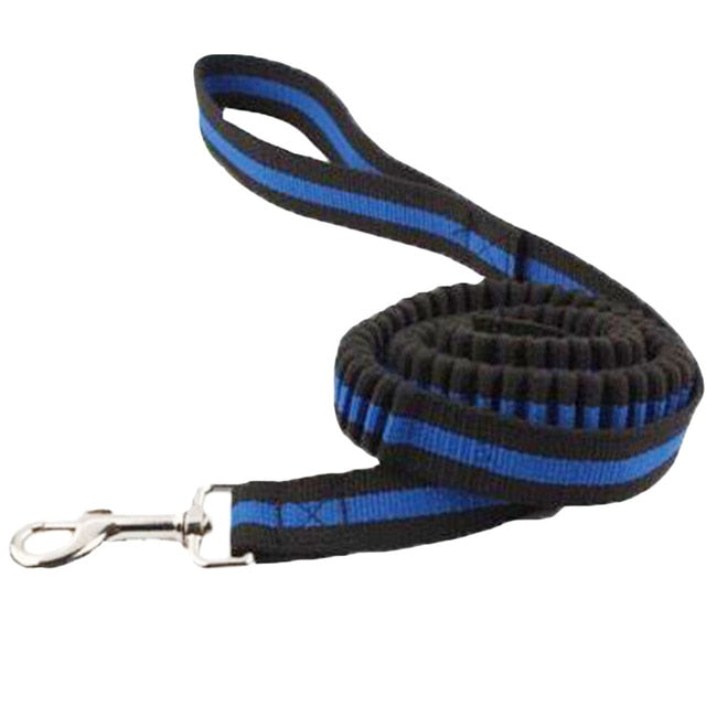 elastic dog leash