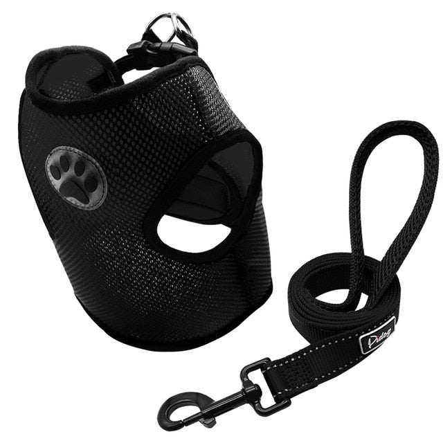Dog Paw Adjustable Mesh Harness.
