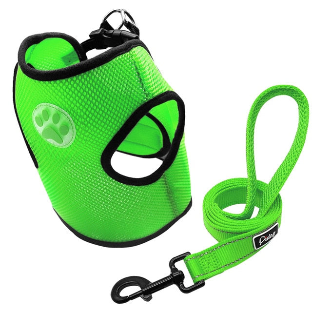 Dog Paw Adjustable Mesh Harness.