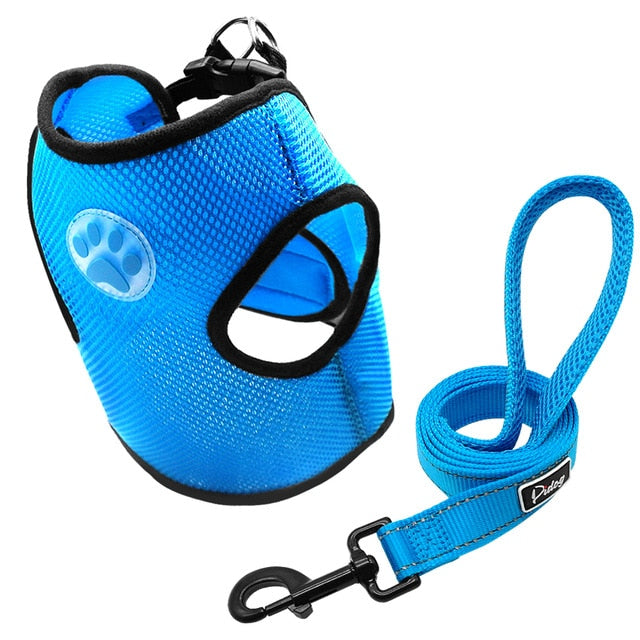 Dog Paw Adjustable Mesh Harness.
