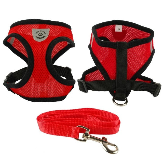Black Trim Dog Mesh Harness.