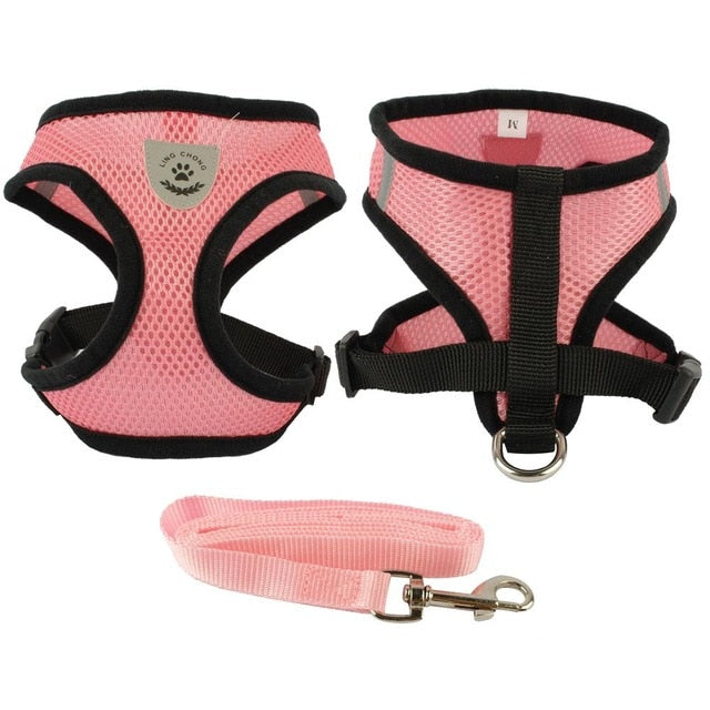 Black Trim Dog Mesh Harness.