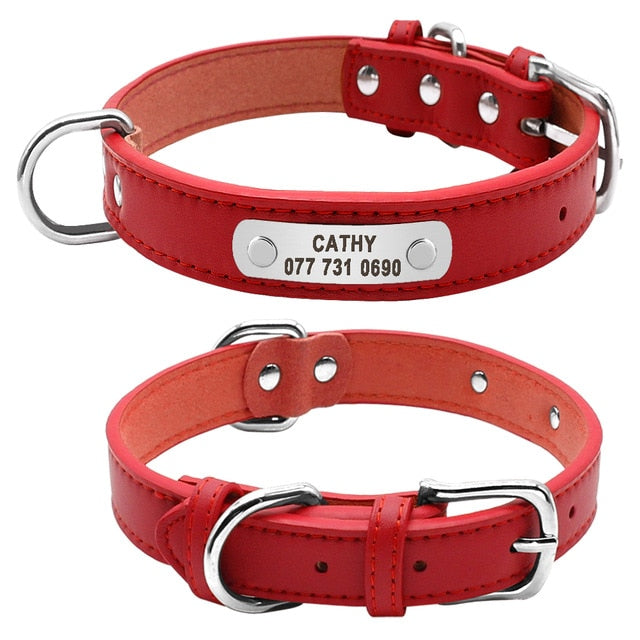 red leather dog collar