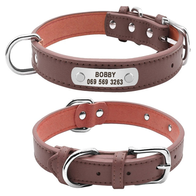 Customized leather dog collars