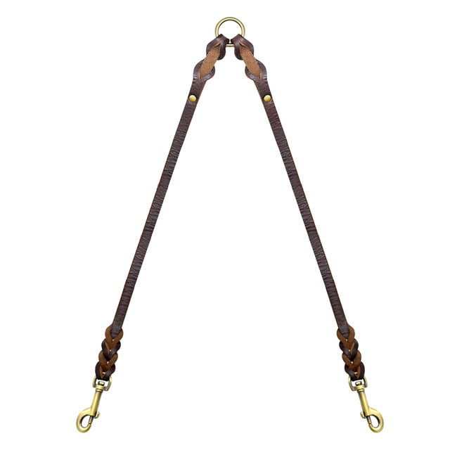 dual braided leather leash