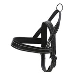 Quick Fit Dog Harness.