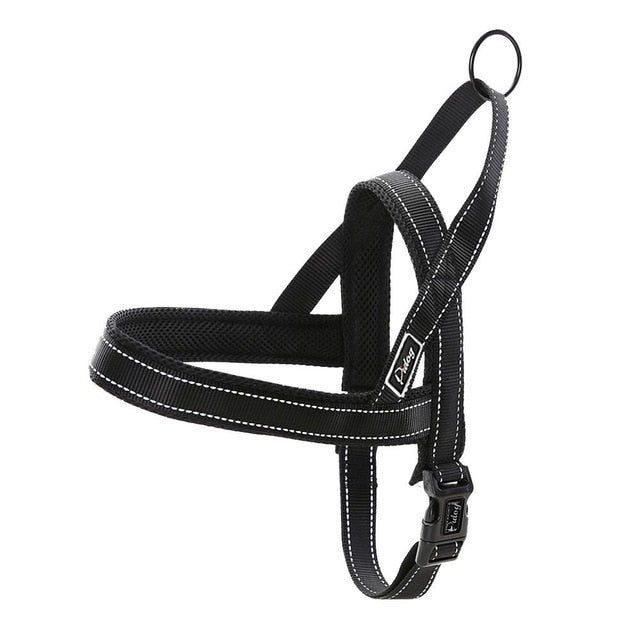 Quick Fit Dog Harness.