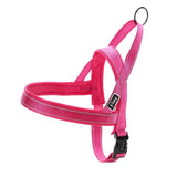 Quick Fit Dog Harness.