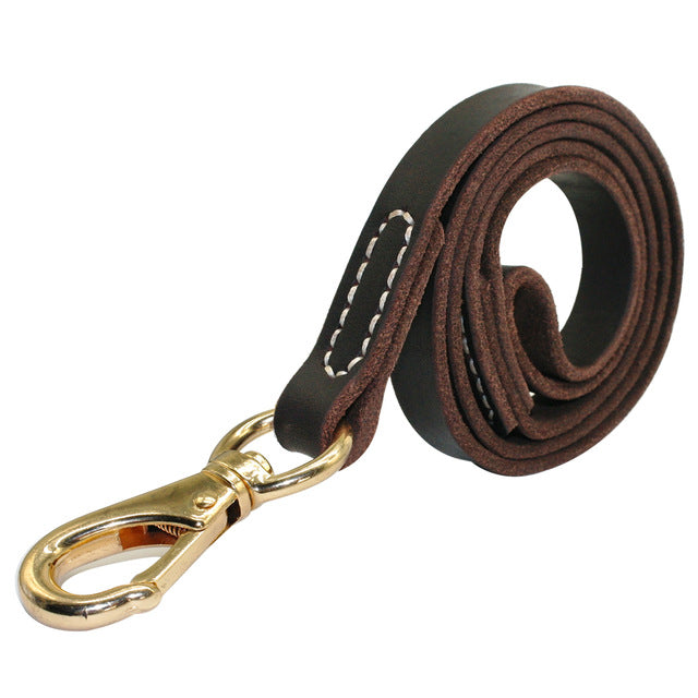 Handmade Leather Dog Leash.