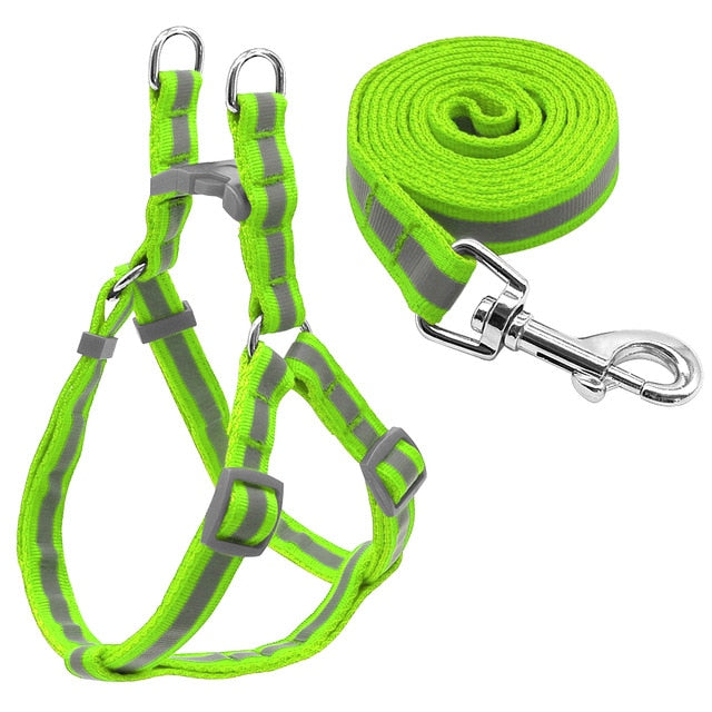 Reflective Dog Harness Lead Set For Medium Dogs 
