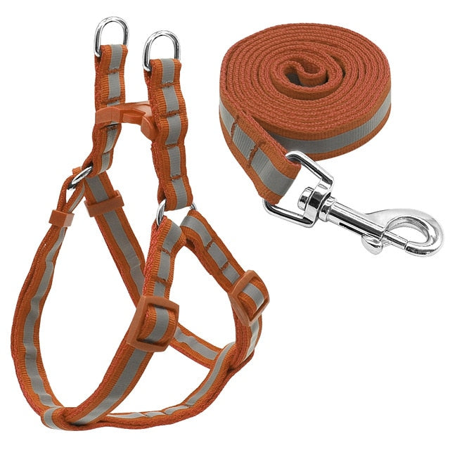 nylon dog harness