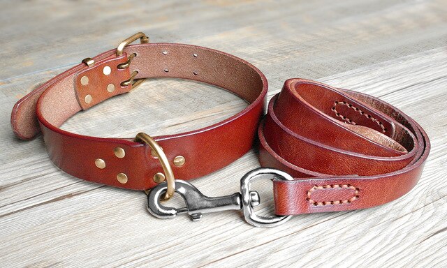 brown leather leash and collar set