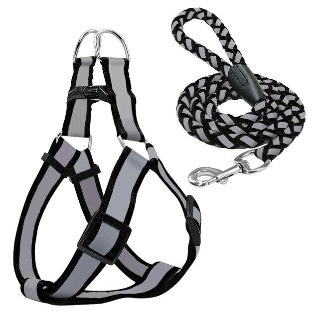Halter Dog Harness Vest Set.