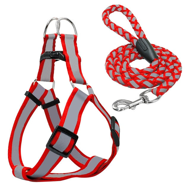 Halter Dog Harness Vest Set.