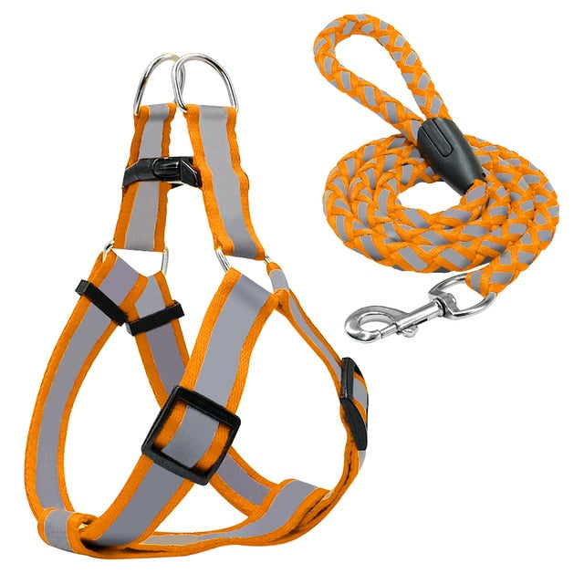 Halter Dog Harness Vest Set.