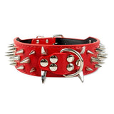 studded dog collars