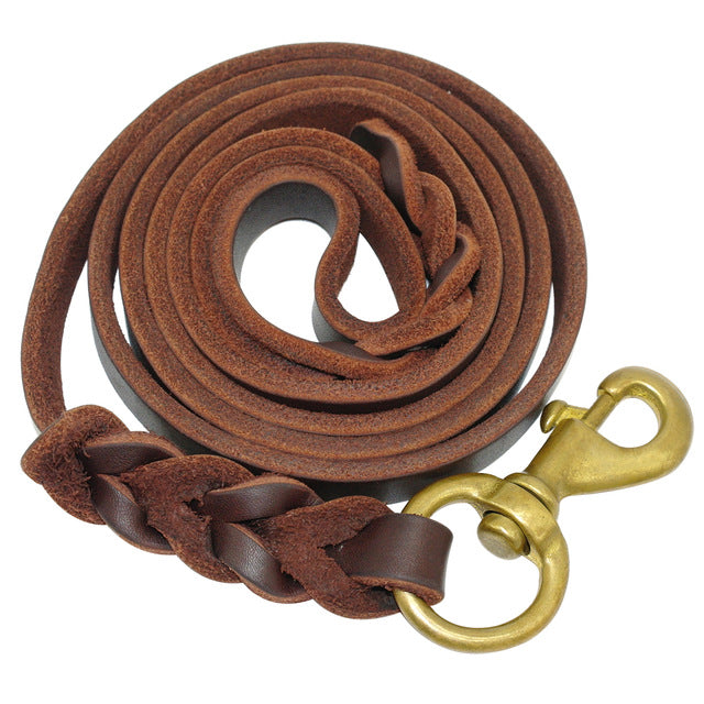 Braided Leather Dog Leash.