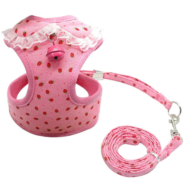 Bell Harness & Leash Set.