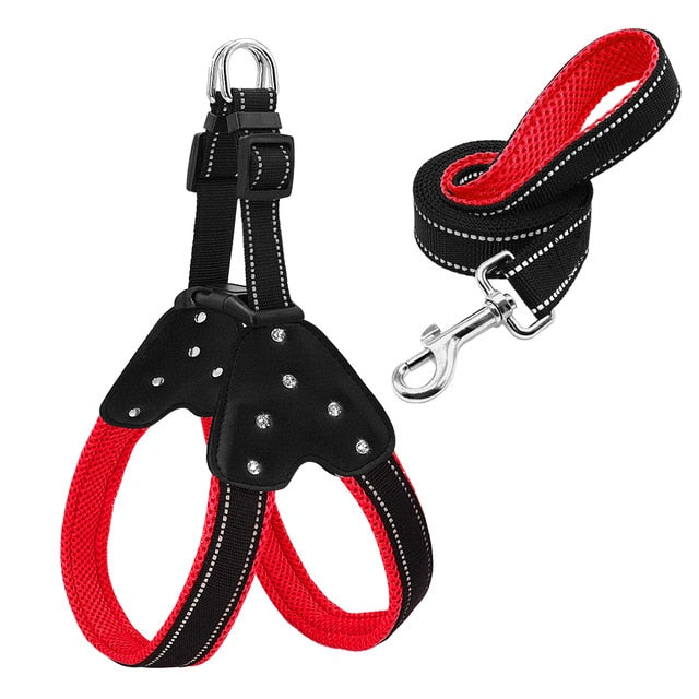 Nylon Reflective Rhinestone Dog Harness and leash set