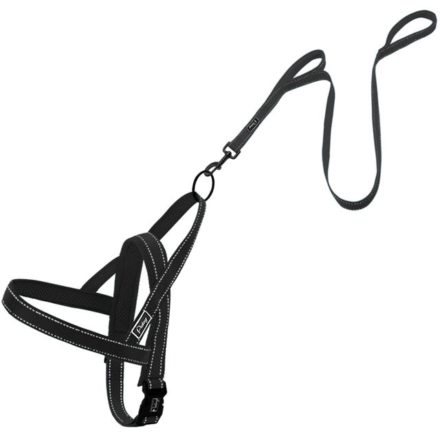 leash and harness set for dog Daily Training 