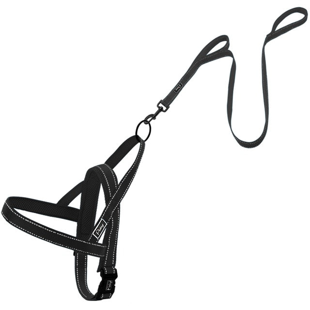 Reflective Harness Leash Set.