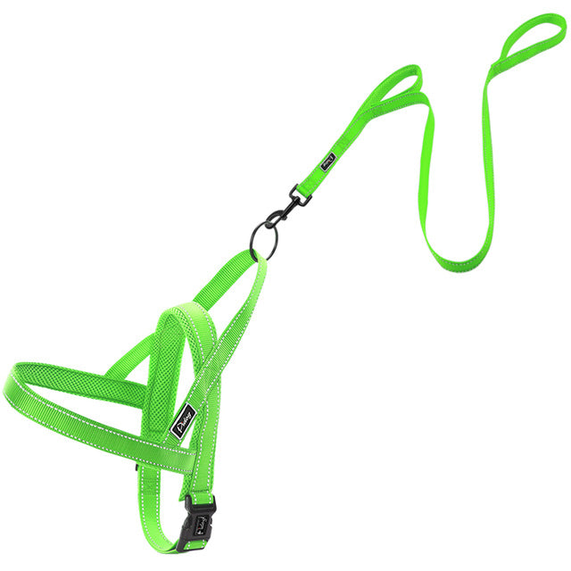 Reflective Harness Leash Set.