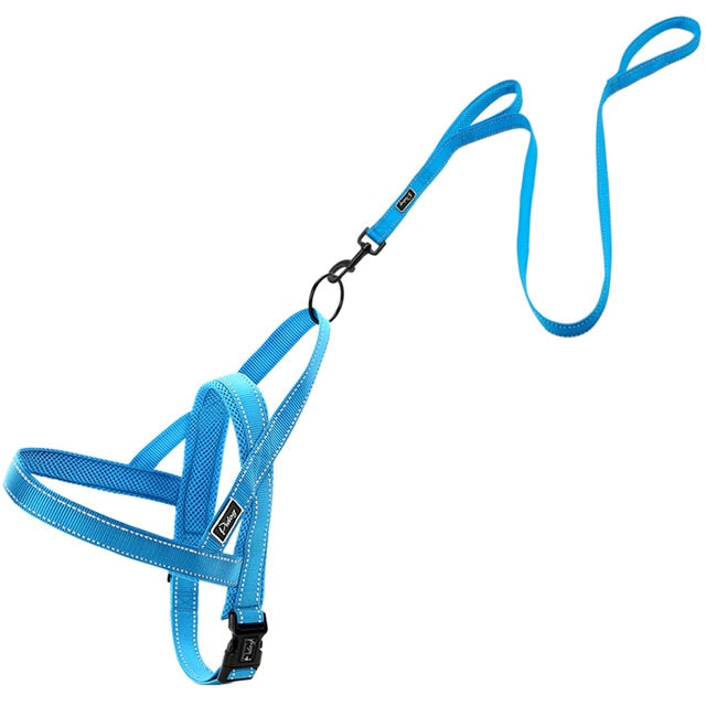 Reflective Harness Leash Set.