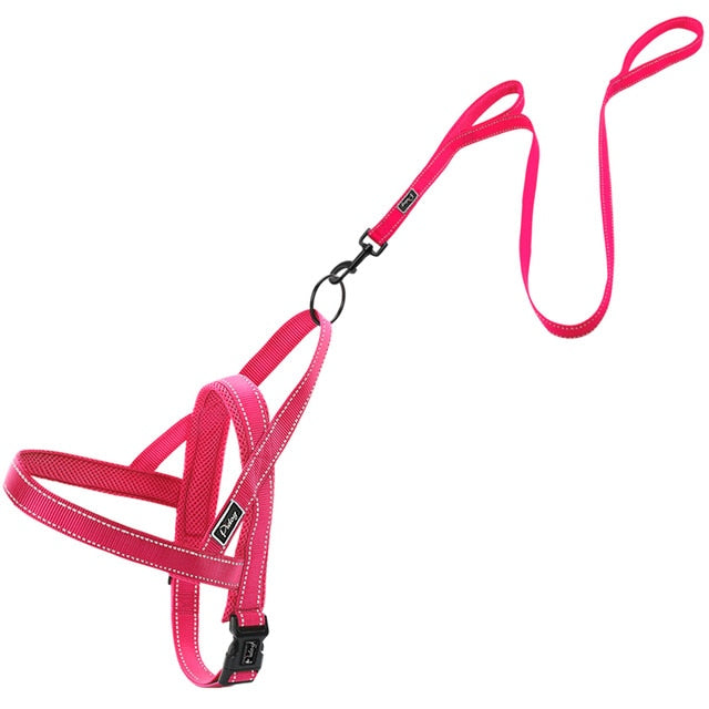 Reflective Harness Leash Set.