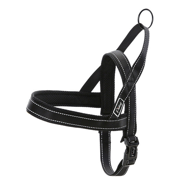 Reflective Harness Leash Set.